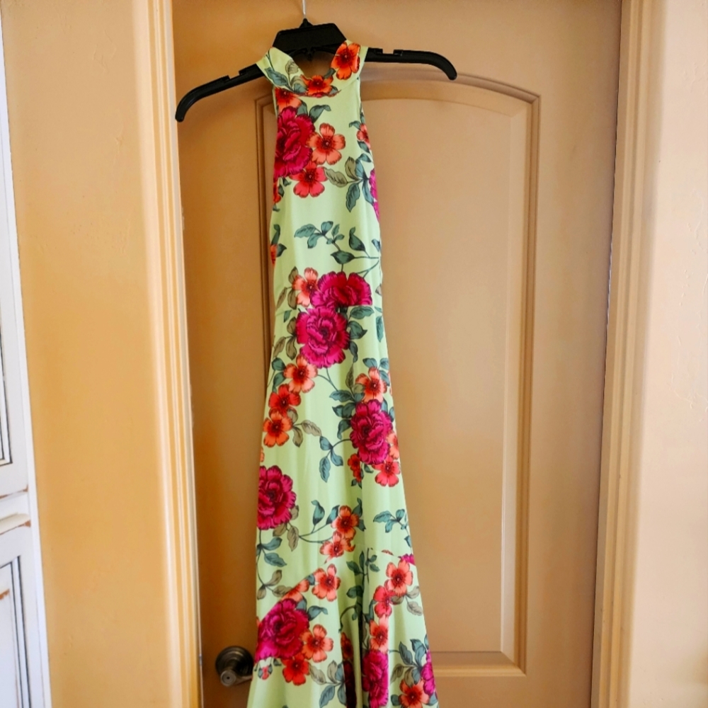 Badgley Mischka dress